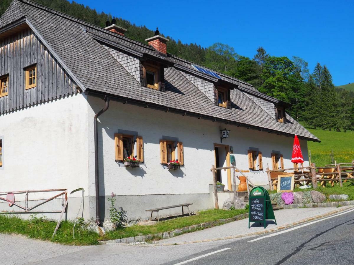 A Pousada Zickerreith Almhutte Rosenau am Hengstpass Exterior foto